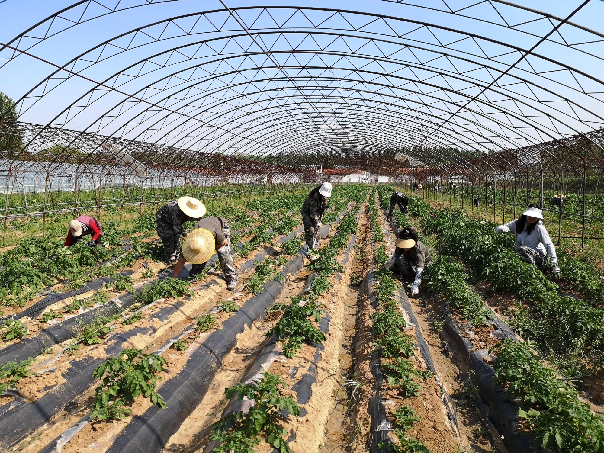 济南市第36期中青年